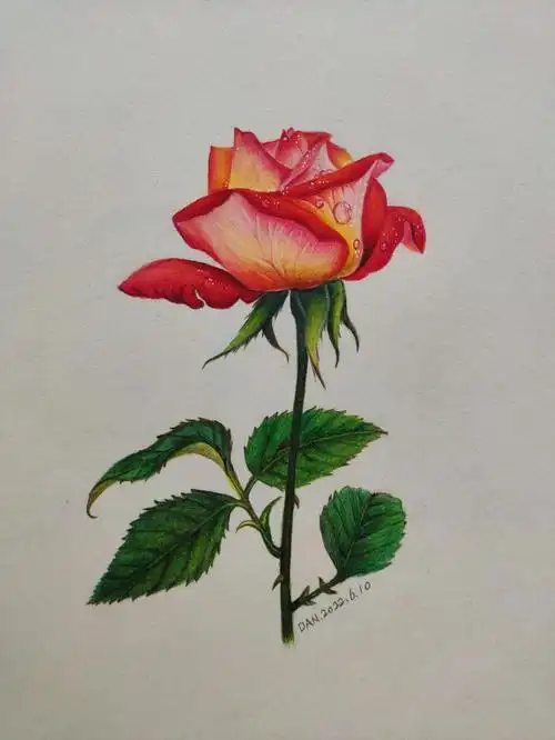 43 44 45 74 63 27 01 10 74  60 61 73 83辉柏嘉水溶性彩铅72色色号