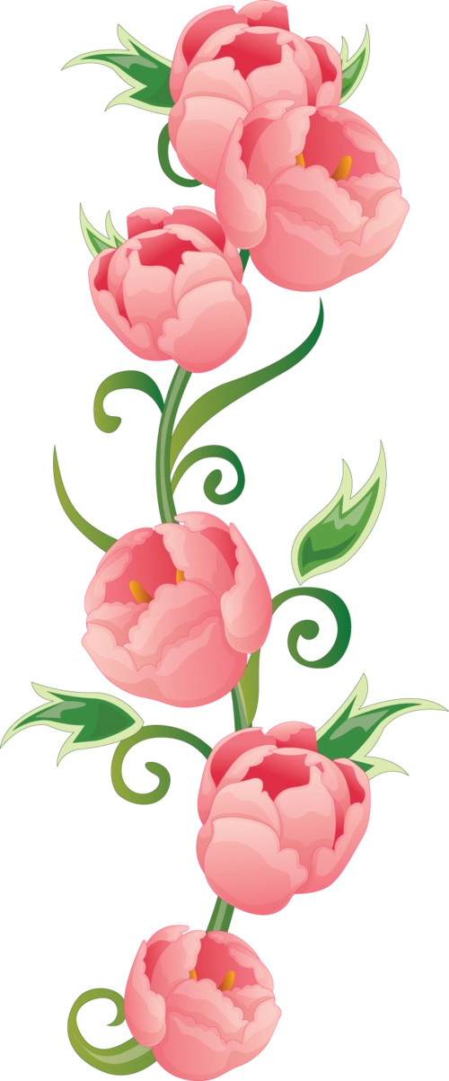 png花朵边框装饰图片素材|ppt模板免费下载 - ppt模板