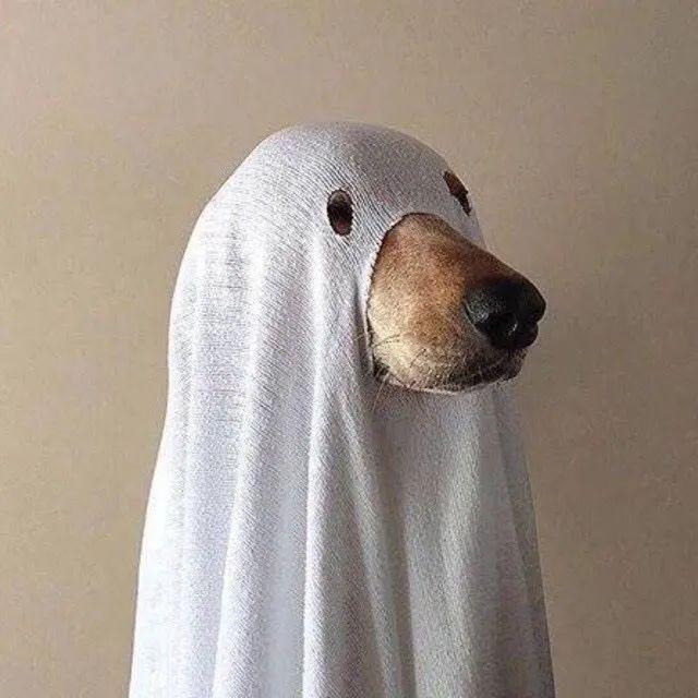 沙雕头像:沙雕微信头像,你值得拥有