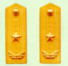 海军少将军衔主要标识为金黄色肩章两佩镶有代表海军的黑色边饰,肩章