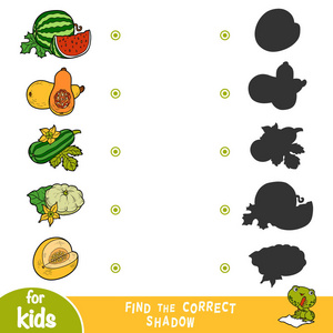 卡通蔬菜一套,南瓜,西瓜,,南瓜,蜜瓜照片