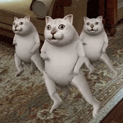 表情| 奇怪的知识增加了——mur猫 3d动态表情包