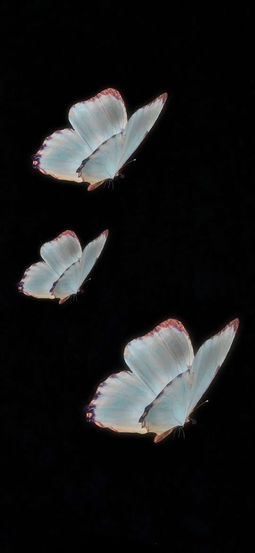 黑色系壁纸 | 高级感简约锁屏壁纸