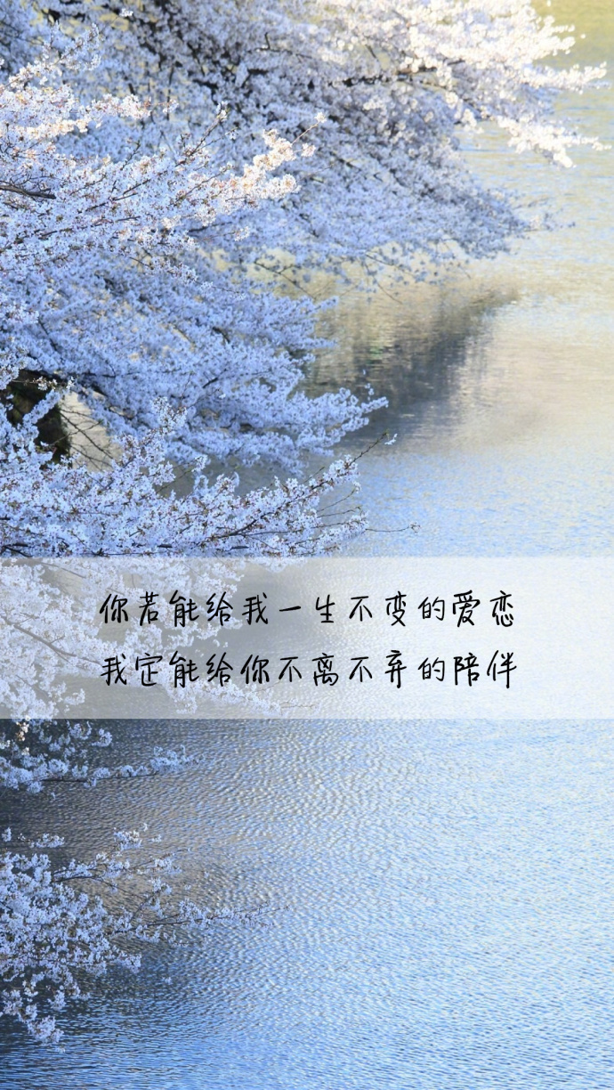 爱情文字语录图片 爱你所爱唯美心情文字图片