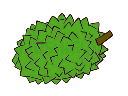 简单榴莲简笔画