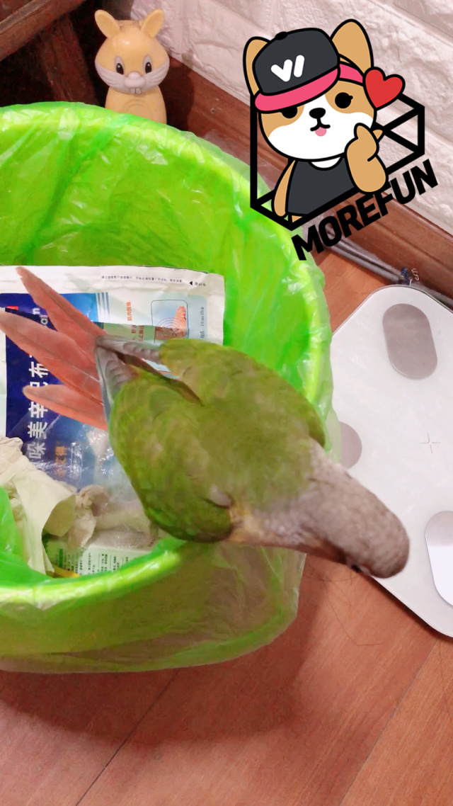 会去各种垃圾桶拉屎啦