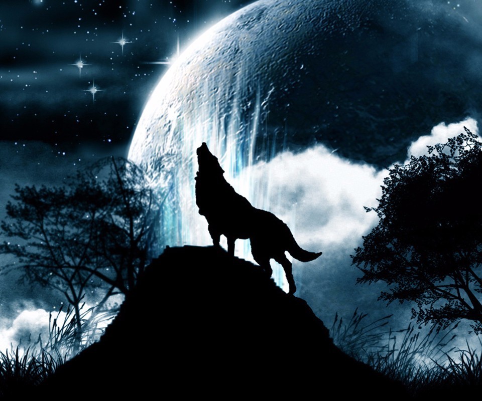 一个创业者所要背负的事——接寒门创业与贵子之间的鸿沟__凤凰网