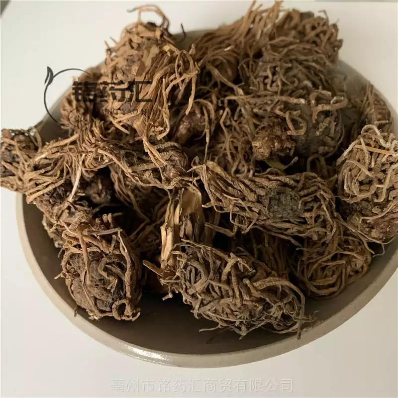 中药材蛇头草野生产地大货药食同源散装无杂质上千种中药材