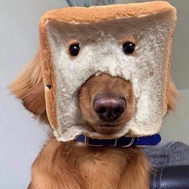 h_t⿻从ciagt转采于2021-11-01 20:08:54沙雕头像沙雕头像h_t⿻同采自