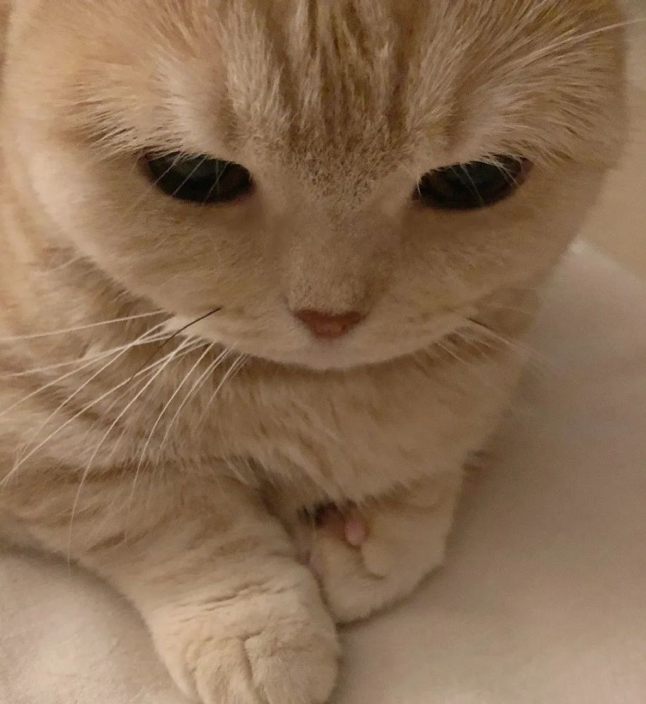 2021年小众qq微信个性头像大全