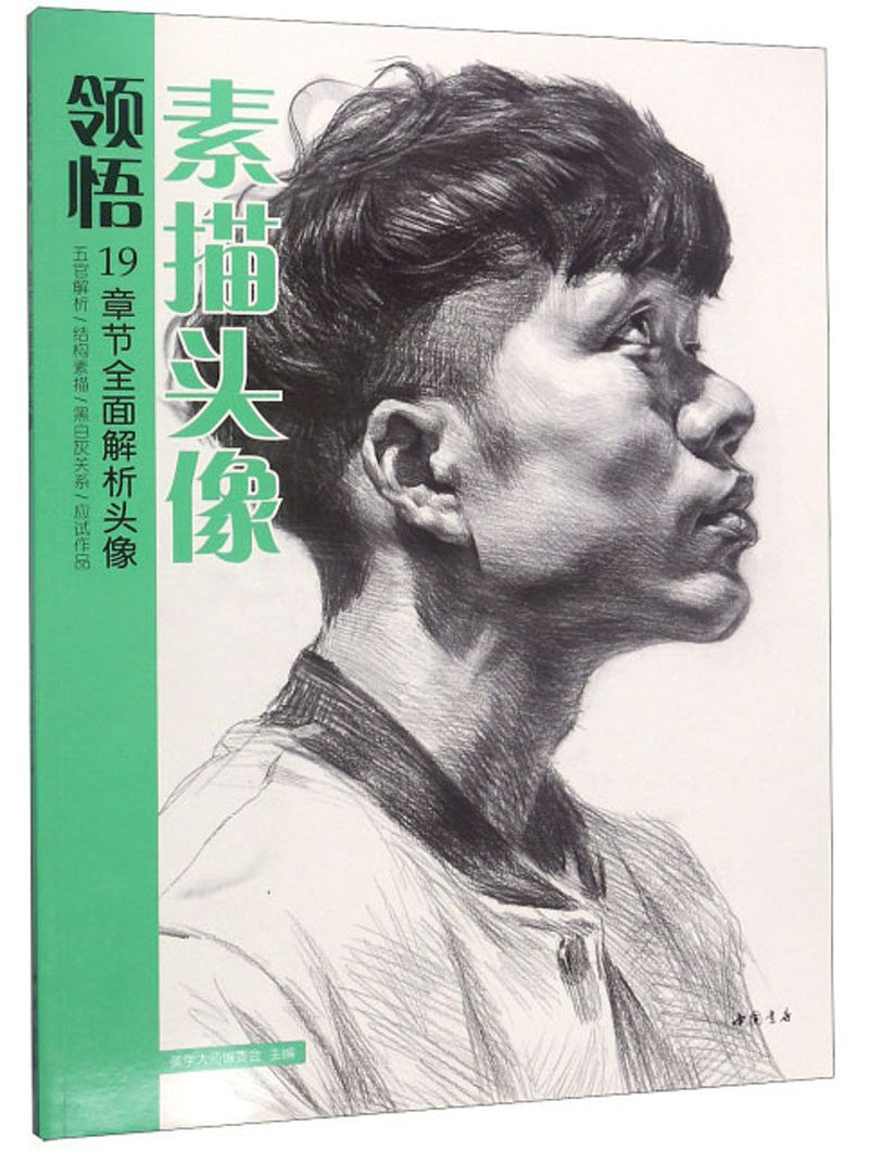 正版包邮 领悟素描头像 美学大师委会 素描自学入门基础教程教材 零