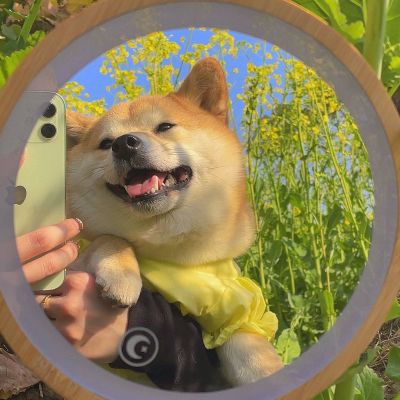 微信头像_我要个性网