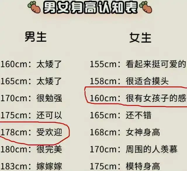 男生心目中完美女生身高排名168cm不受青睐榜首让人出乎意料