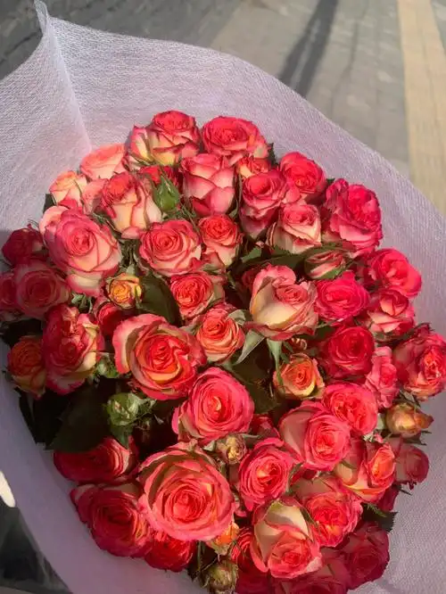 今天去花市买了一束多头泡泡花了3006