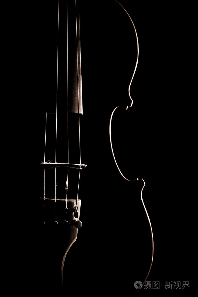 小提琴特写乐器