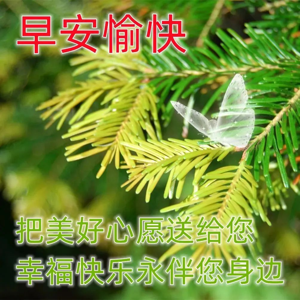 4月1日最漂亮早上好漂亮问候语,早上问好带字带表情的祝福语图片