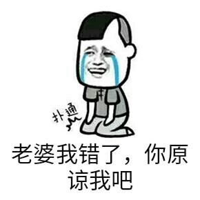 老婆我错了,你原谅我吧 - 这辈子是不可能原谅了_下跪_撩妹撩汉表情