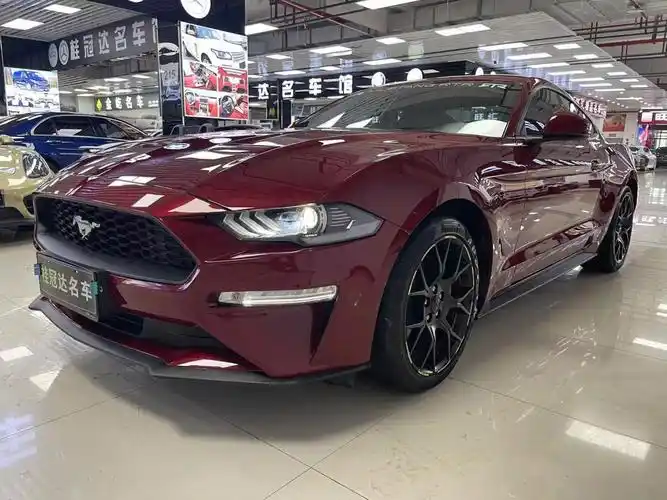 福特野马二手车(福特野马二手车怎么样)