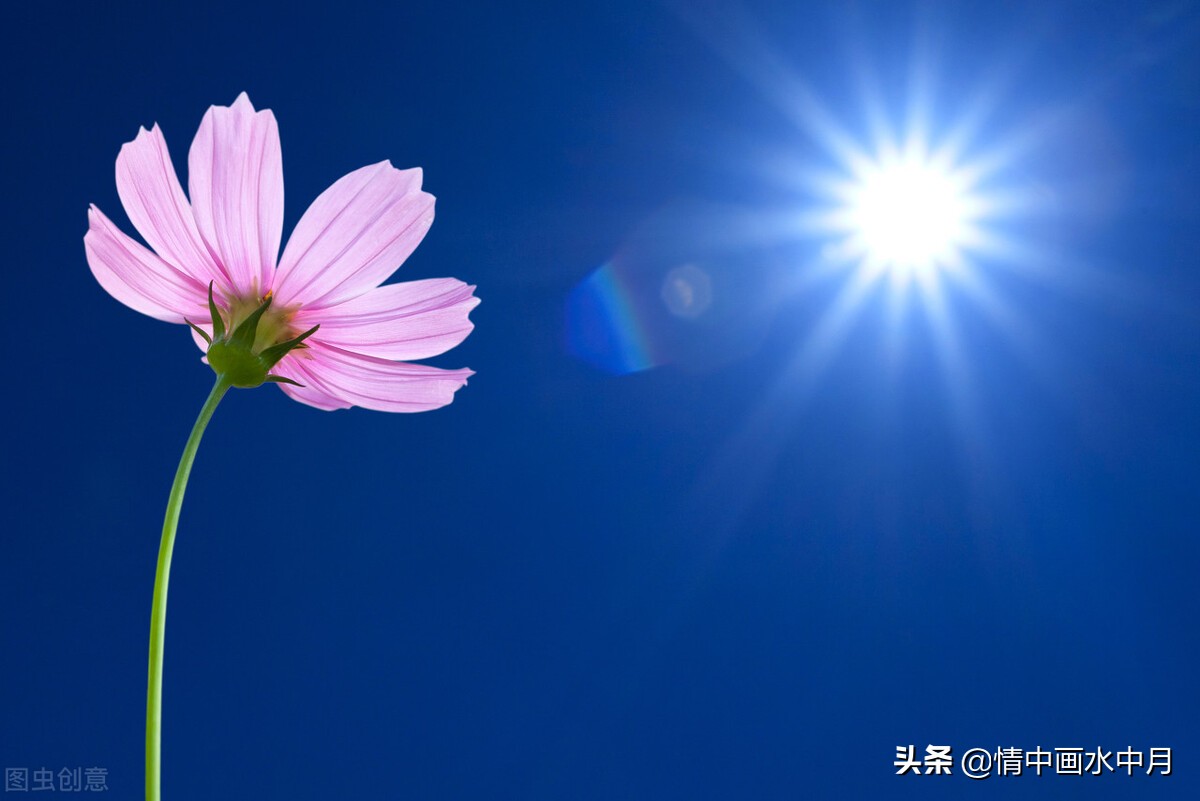 11字唯美的句子