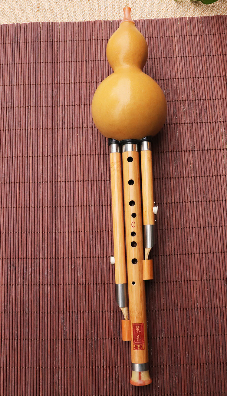 七九孔葫芦丝儿童学生演奏初学fg降bc小d调楠竹乐器音准耐吹九孔五铜