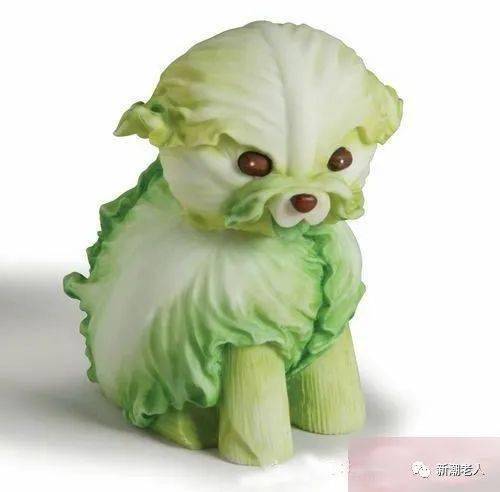 天热了,送你几张搞笑图,笑死人不偿命