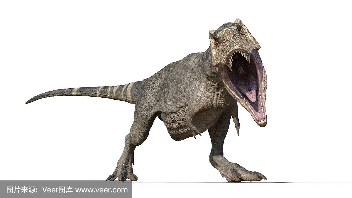霸王龙恐龙,霸王龙爬行动物,史前侏罗纪动物咆哮在白色背景,正面视图