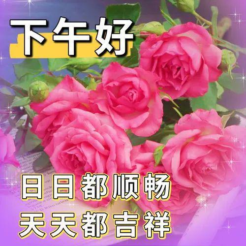 下午好问候语图片大全 - 搜狗图片搜索