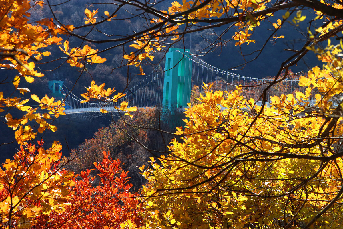 2021北京风景年票提前发布其中这8个景点最适合深秋打卡