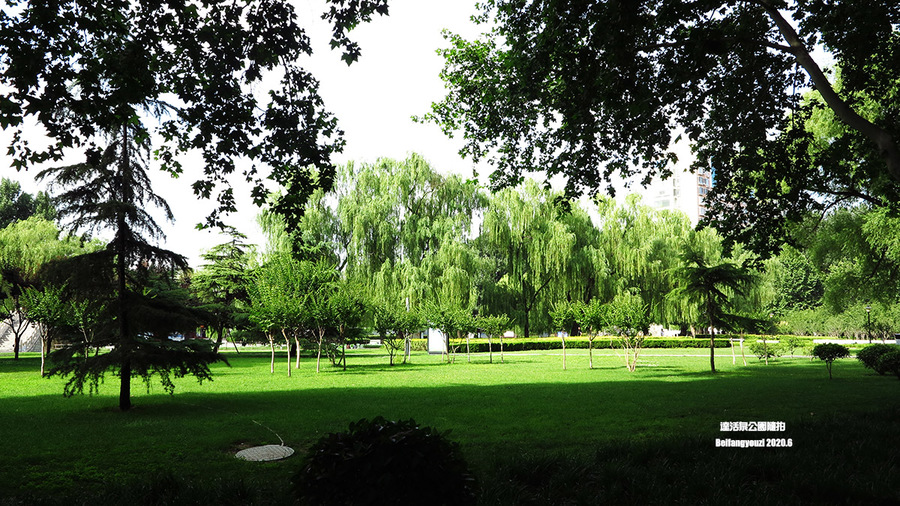 风景一组-北方的夏天