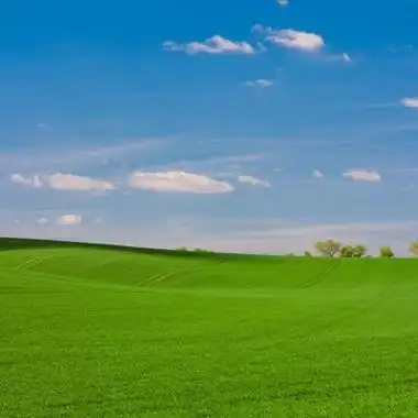 浅绿色青草地风景 大自然风景草地图片_风景头像_美头网