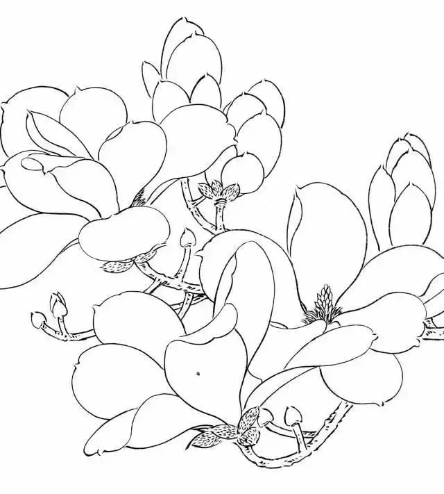 寓意财富,指金玉满堂.