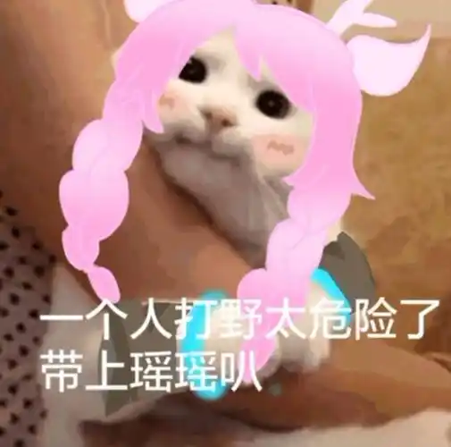 一个人太危险了带上瑶瑶表情包 - 日常表情包