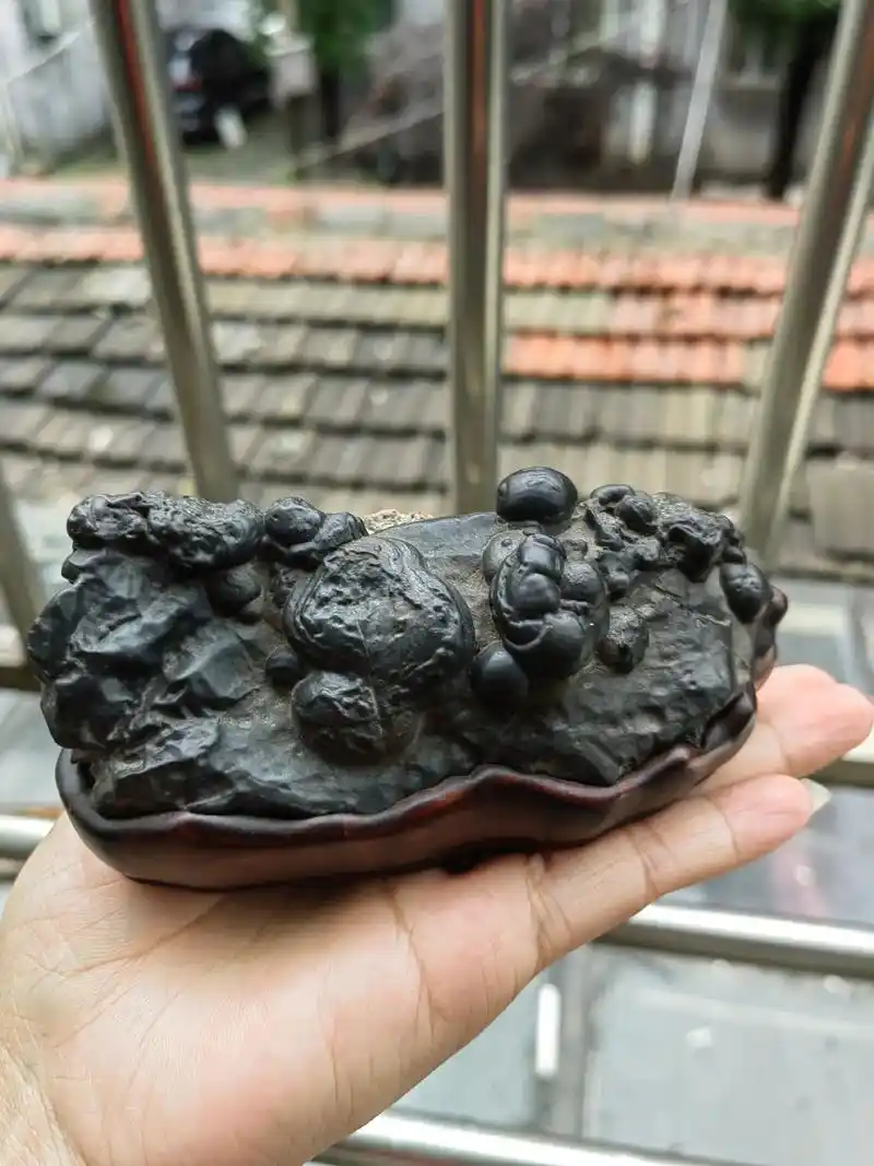 收藏级天然珍珠灵璧石原石 自己纯手工雕刻红木配套底座 连座长 - 抖