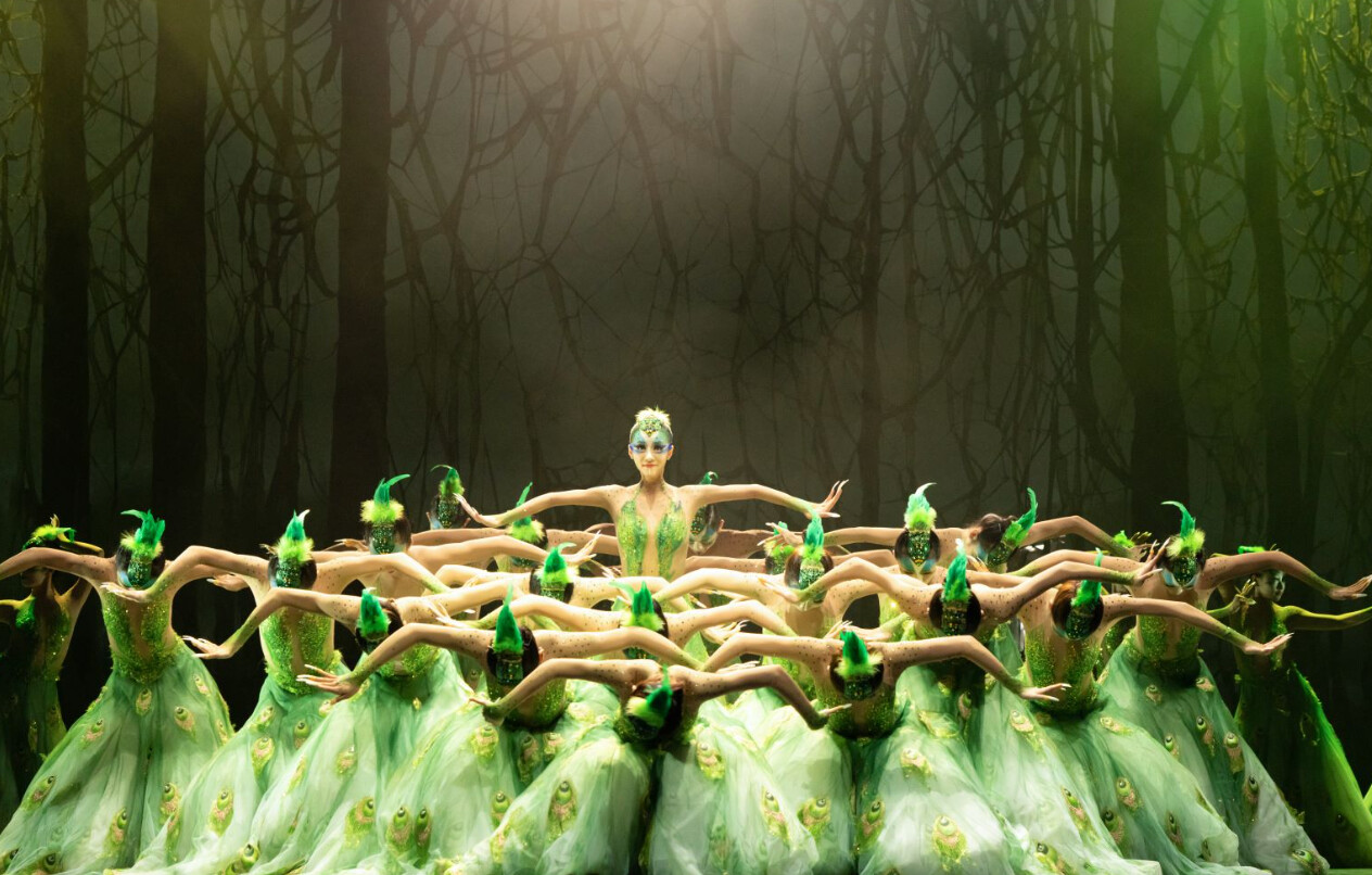 开启孔雀的奇幻之旅杨丽萍携舞剧作品孔雀将到羊城