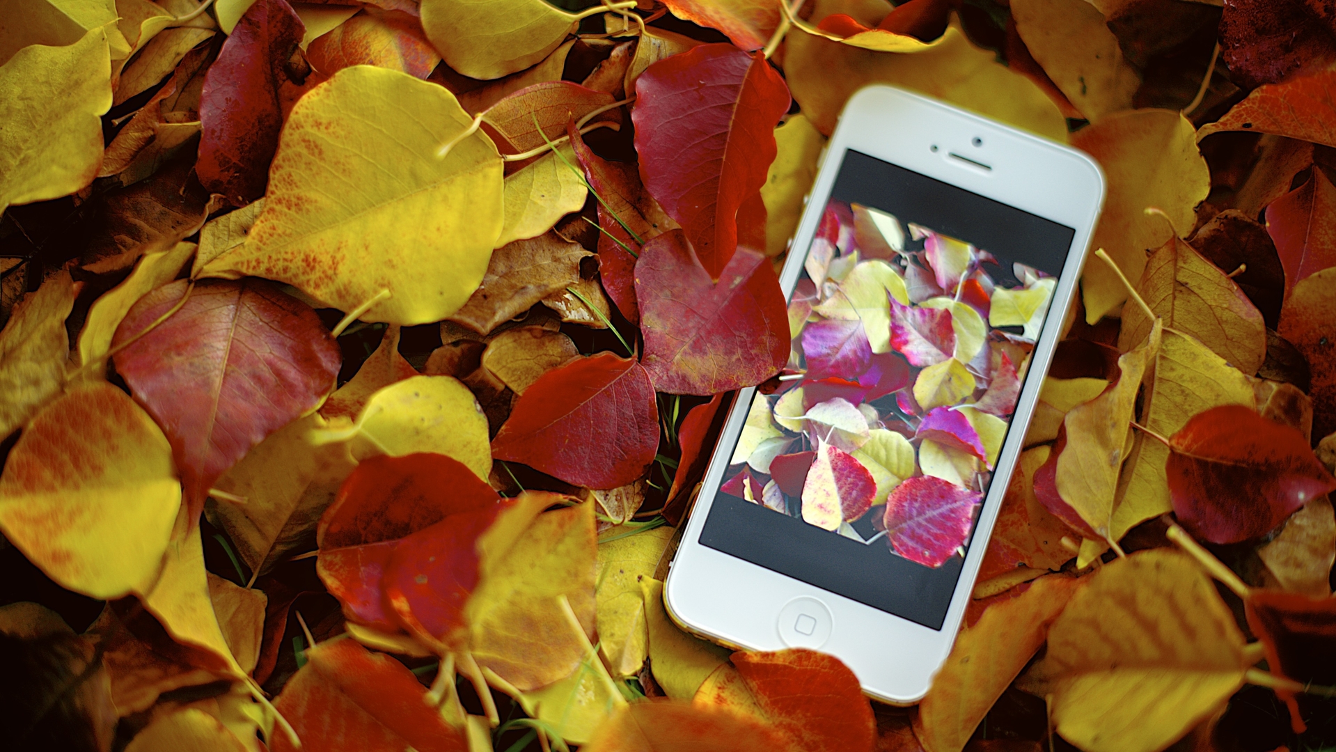 iphone手机设备高清苹果手机广告图片桌面壁纸1