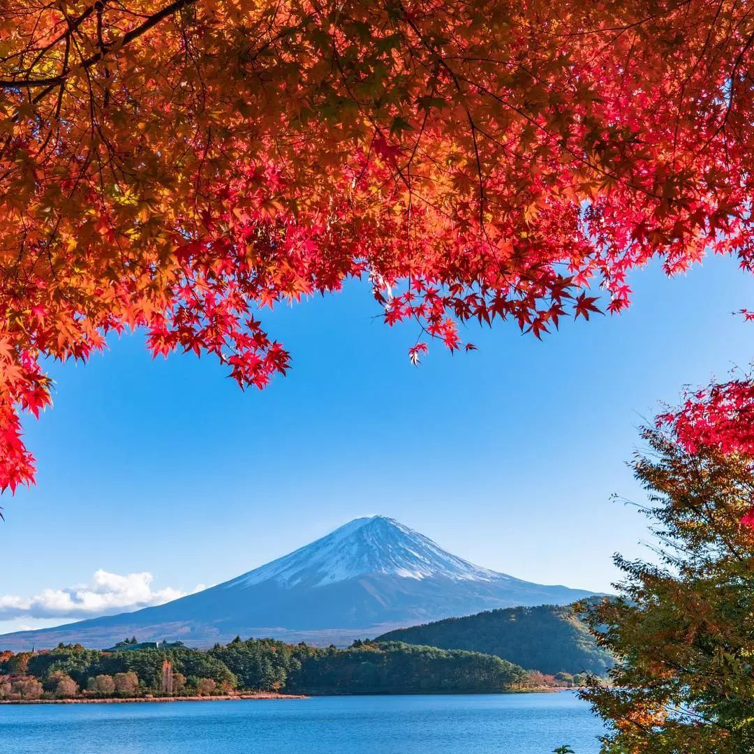 抖音点赞100w朋友圈封面图