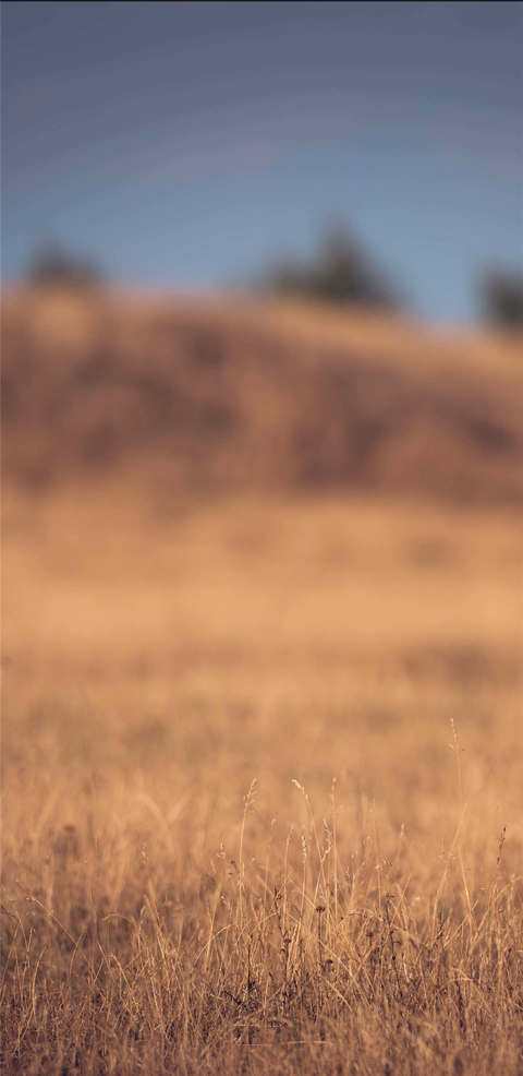 1080p蓝光竖屏壁纸图片