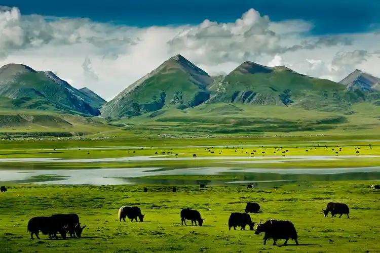 三江源头 - 自然类-摄影大赛2016 - 地理中文网—《国家地理》杂志