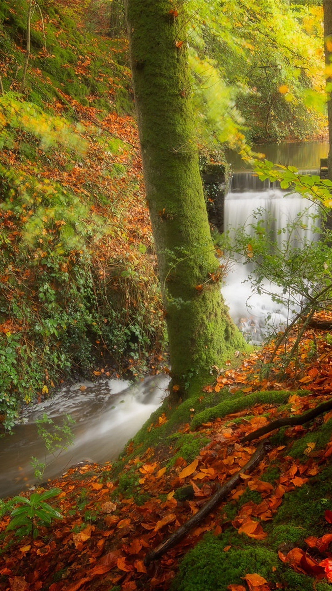 最美秋季风景手机壁纸