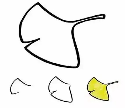 百合又名中逢花,百合蒜,夜合花等荷花种类很多是百科百合属,多年生