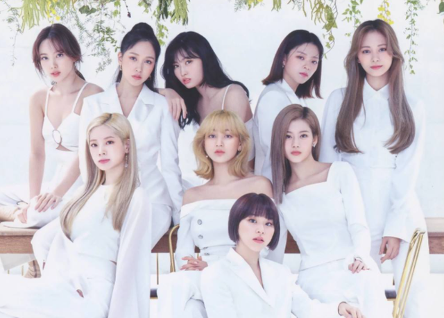 twice成员官方定位