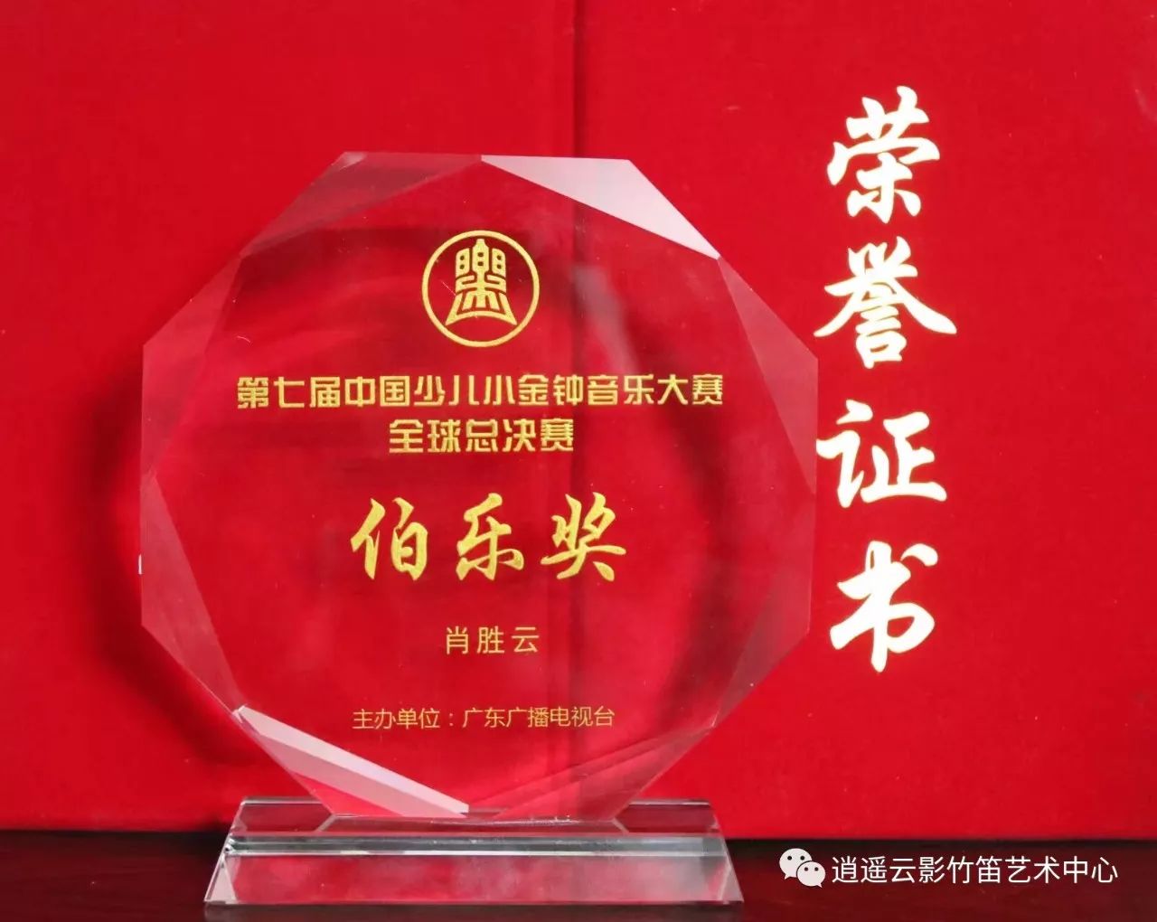 "第七届中国少儿小金钟音乐大赛"全球总决赛少年组金奖(总分第一名)