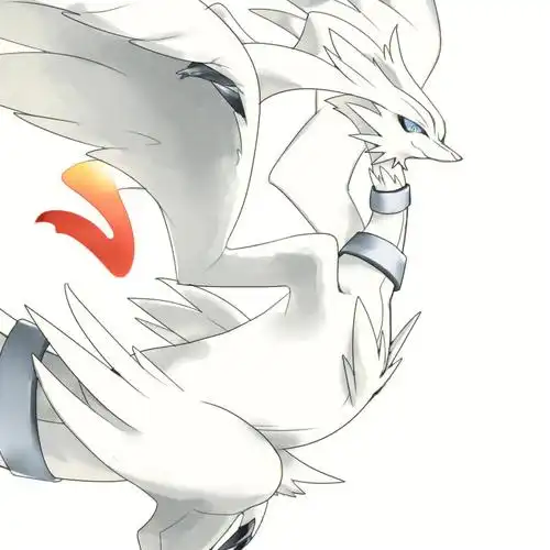 78宝可梦no120雷希拉姆