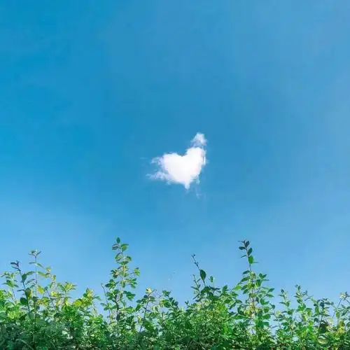 清新蓝色天空风景照片头像