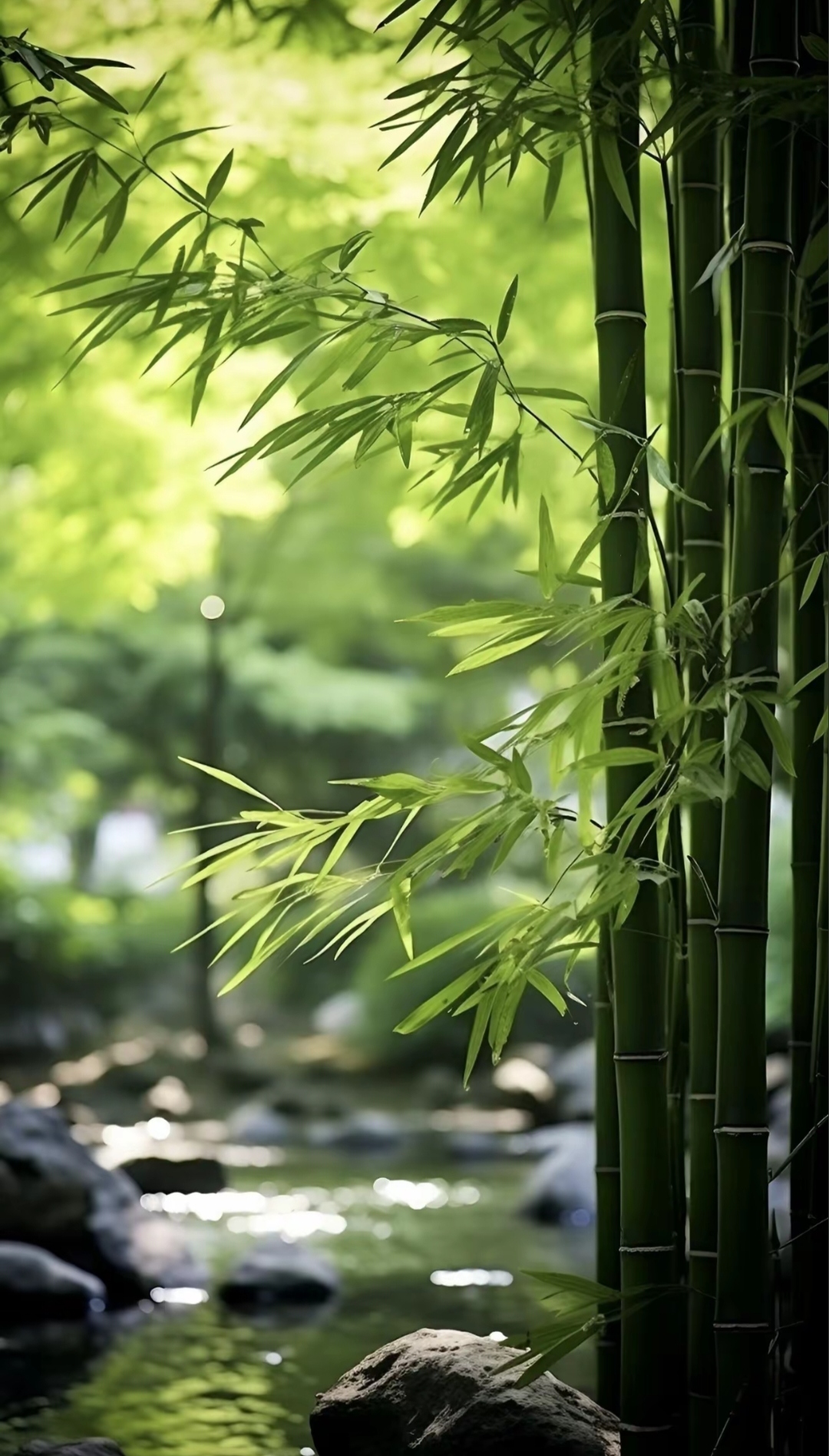 竹影婆娑,清雅韵味,竹子带来的不仅是清新空气,更是优雅生活的体验.