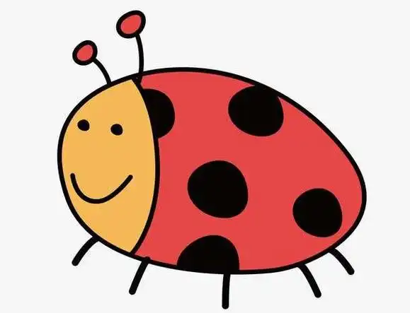七星瓢虫卡通,七星瓢虫简笔画彩色大全-图片大观-奇异网