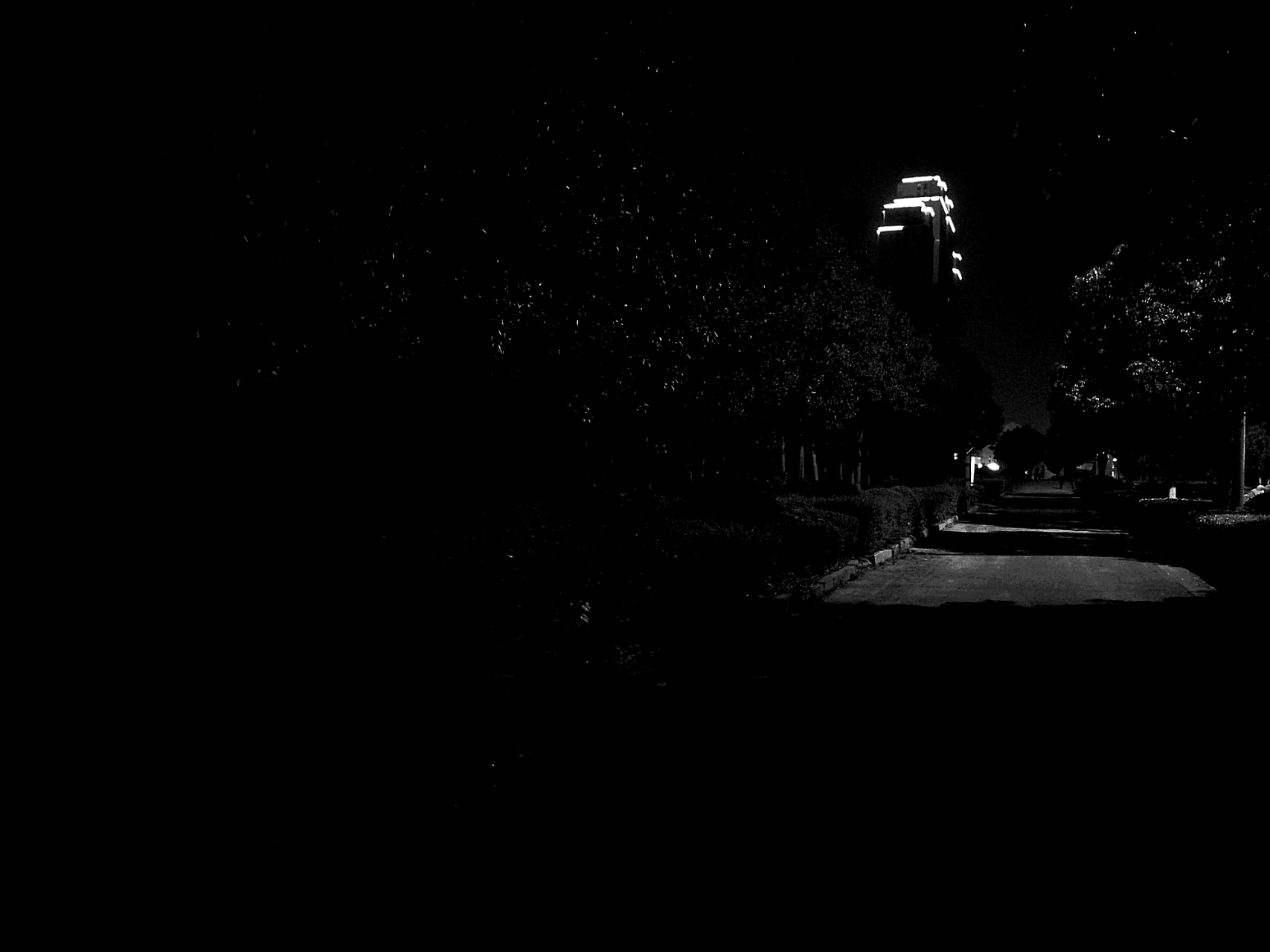 提示信息 花粉俱乐部