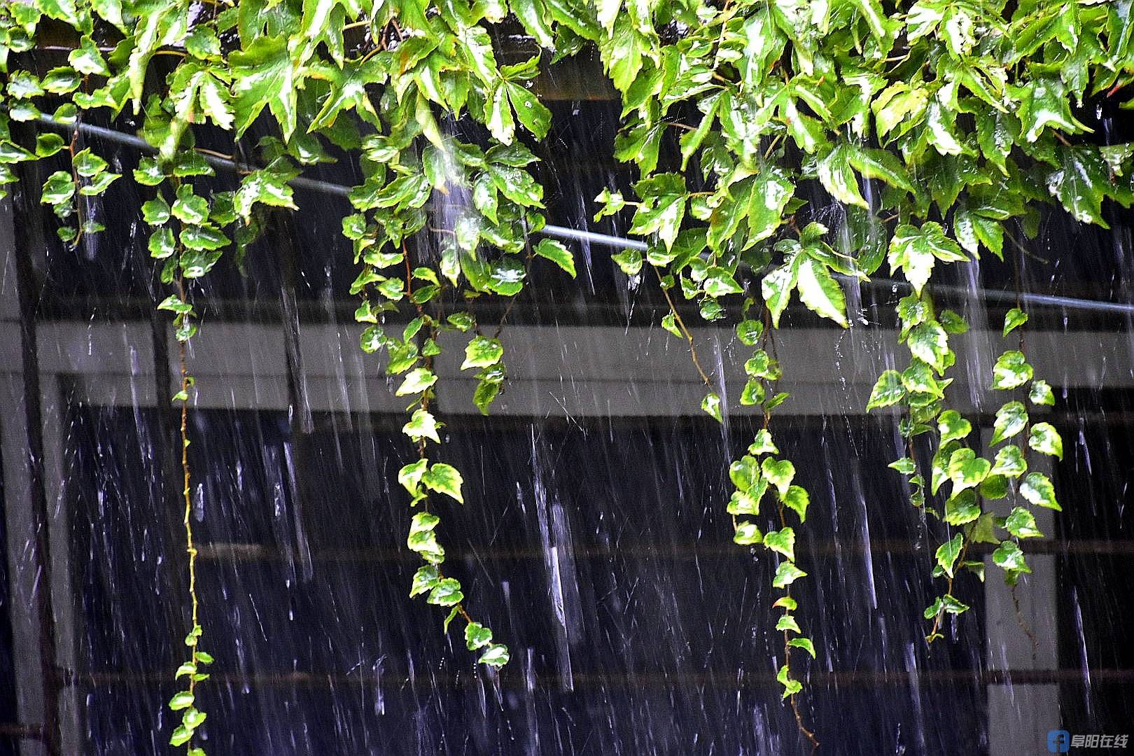 倾盆大雨虽"烦人",但是雨中的风景很迷人