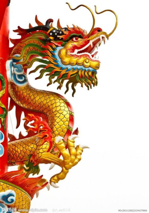 龙的图片大全,要中国龙