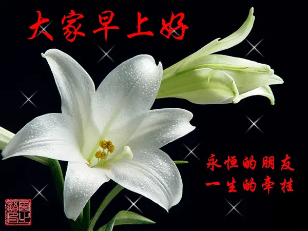 中老年表情包,早上好动态表情图片,清晨来报道,向朋友问好!